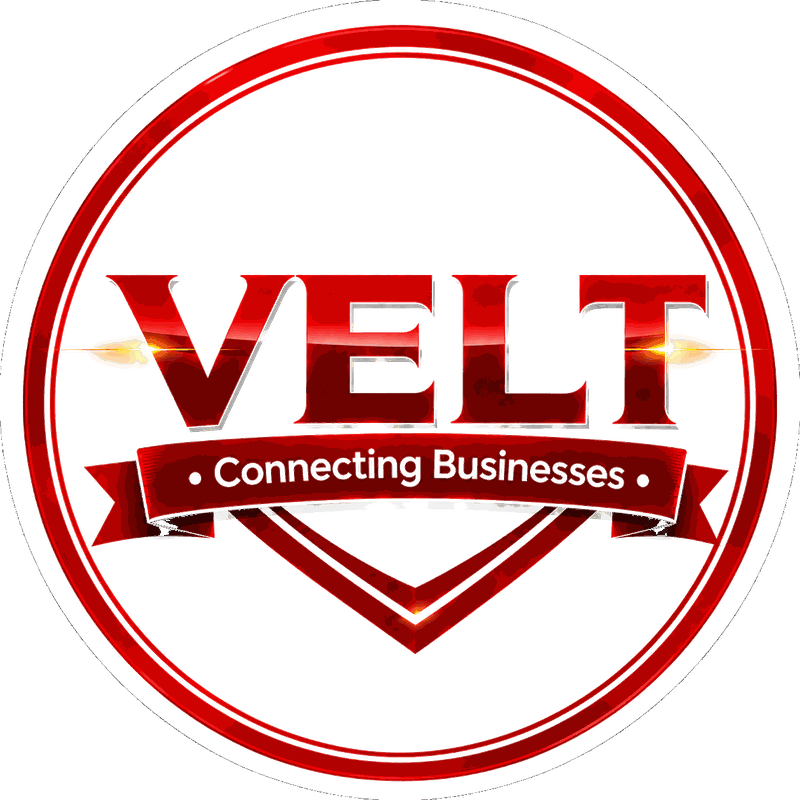 VELT Pro Business Solutions logo