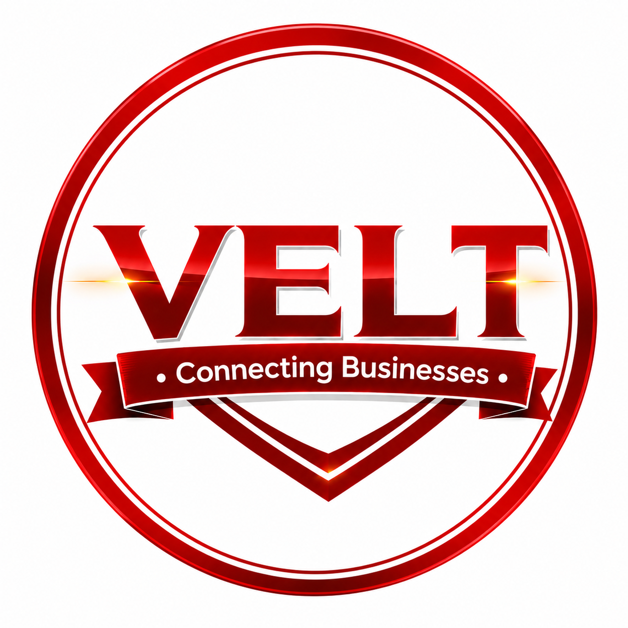 VELT PRO BUSINESS SOLUTIONS